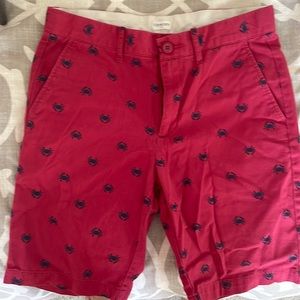 Crew Cuts Size 14 Boys Shorts